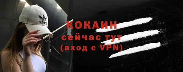 шишки Абинск