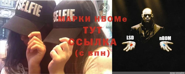 шишки Абинск