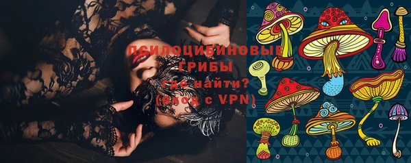 шишки Абинск
