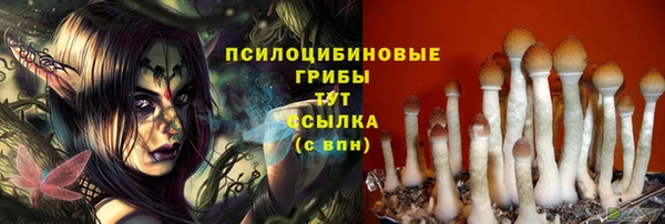 шишки Абинск