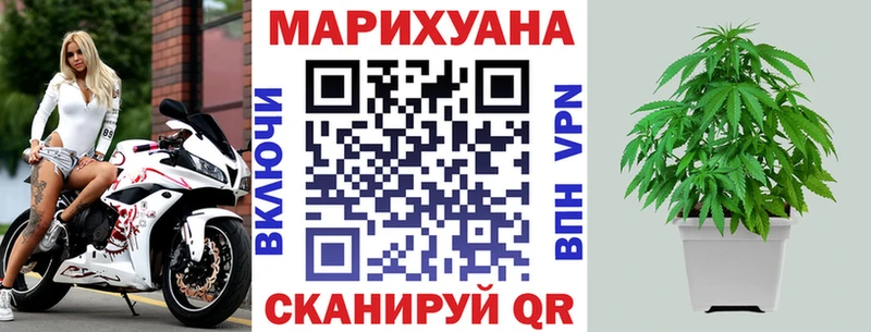 KRAKEN зеркало  где найти наркотики  Красноперекопск  Канабис VHQ 